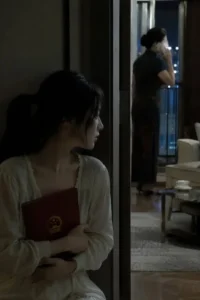 Sổ Đỏ Bị Cô Ruột Cướp Mất